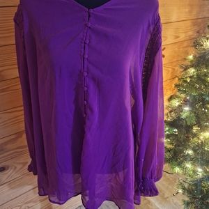 Roaman's tunic style sheer top. Excellent condition.  Size 24
